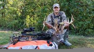 4 Giant Bow Bucks beauty