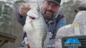 4 pound crappie video
