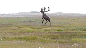 48387609 10155770811061389 6515568656225665024 n