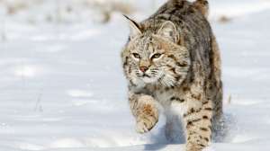 485651189 181003 160652