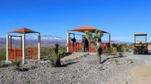 49673928 2269158566449007 8704273489072226304 n