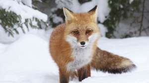 5073129391 181003 160024