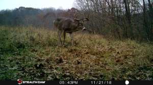 59267349 2210228725682553 3600064256344588288 n