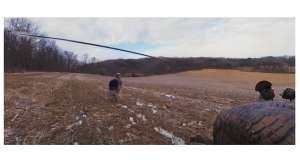 6 bearded turkey pic