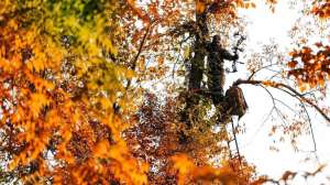 6 bits of advice lead