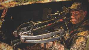 6 crossbow tips beauty