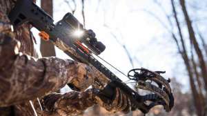 6 killer crossbows pic