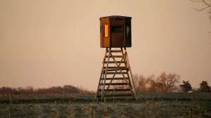 72949067 2896729497007893 6523674612427915264 o