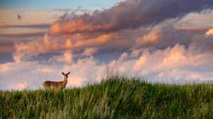 89853133 10158152516513739 3891521381296242688 o