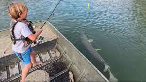 9 year old with big gar