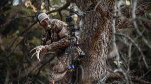 AMPLIFY SELECTS RRP 0819 027 cropped