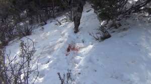 AZ Mule Deer 181010 154756