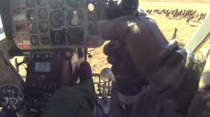 Aerial Elk 181010 154753