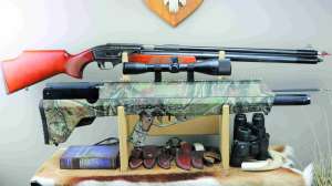 Airguns inside the Barrel or Sleeve copy