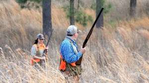 Alabama Black Belt Adventures quail hunting photo by ABBA