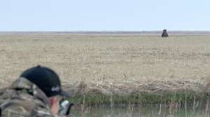 Alaska brown bear hunt Photo by Scott Haugen