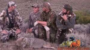 All Predaot Calls Anything Wild 181010 154729