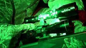 All Predator Calls Wicked Lights Hog 181010 154908