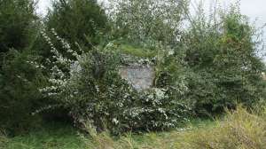 Ameristep Blind Webb Camouflage System