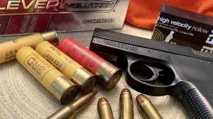 Ammunition variety handgun photo by Clemons