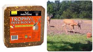 Antler King Deer Block collage