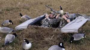 Apprentice Layout Blind Field Shot1 181003 161250