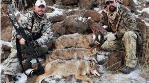 Article 2 181003 160608