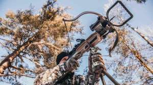 Assassin Extreme 4 cropped