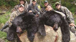 Atkins A Few Black Bear Bhunting Options All The Guys 181003 160643