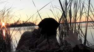 Avery Diver Hunt 181010 154942