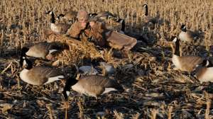 Avery Outfitter Blind 181003 160521