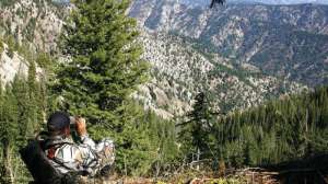 B Cglassing out West