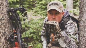 BE590 Cow calling to elk copyright Mark Kayser