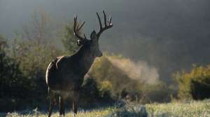 BHG Lead Image 181003 161206