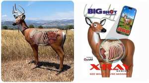 BI Gshot X Ray collage