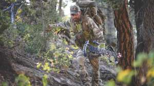 Backpack Bucks beauty