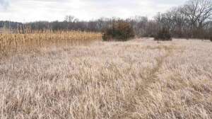 Backtracking Next Years Buck