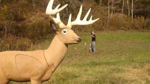 Backyard 3 D course beauty