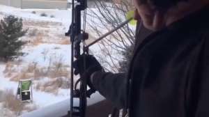 Balloon cold temps beauty