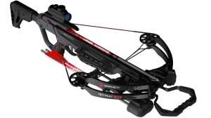 Barnett Recruit XP 2 resize