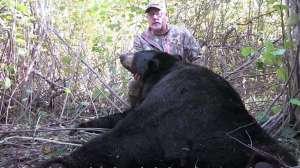 Barringer black bears video