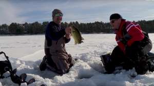 Bass stalks minnow beauty