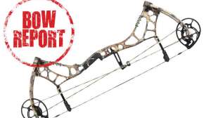 Bear Agenda6 Main Image APG Bow Report 181003 160709