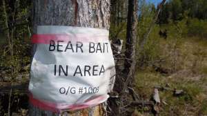 Bear bait sign