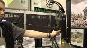 Bear Arena30 181010 154934