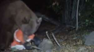 Bear Mauls Santa Screen Shot 2014 12 22 at 159 181010 154703