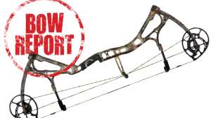 Bear Motive6 Bow Report640 181003 160711