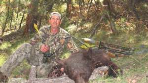 Bear Takedown horz copy