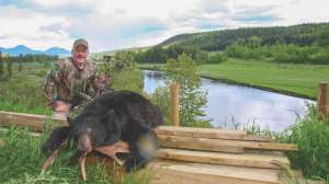 Bernie Barringer black bear beauty