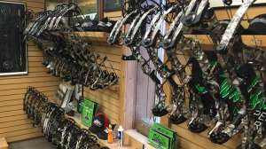 Best Budget Bows beauty